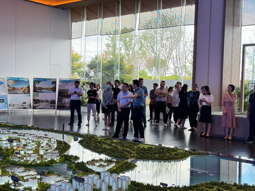 政府開放月活動：公眾走近示范區(qū)，感受青浦蓬勃發(fā)展.jpg