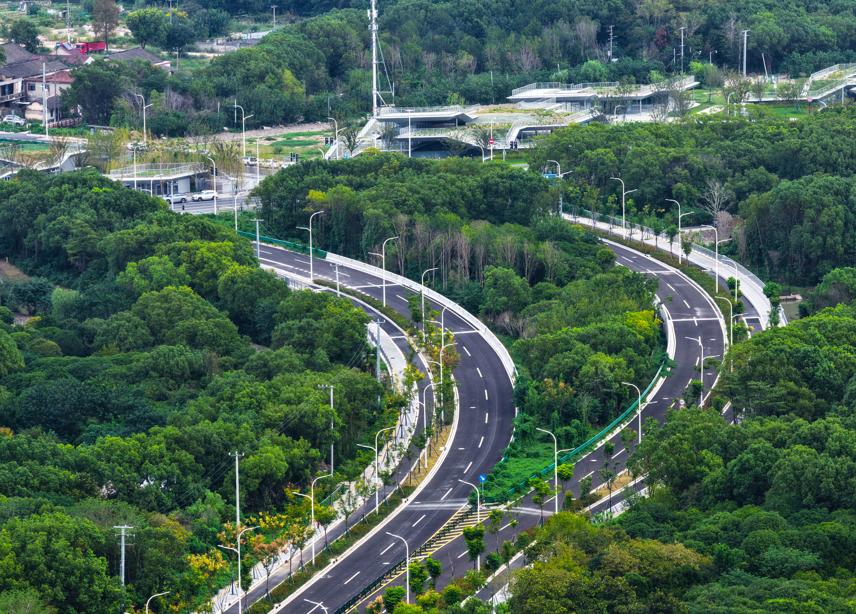 浦錦北路國慶通車