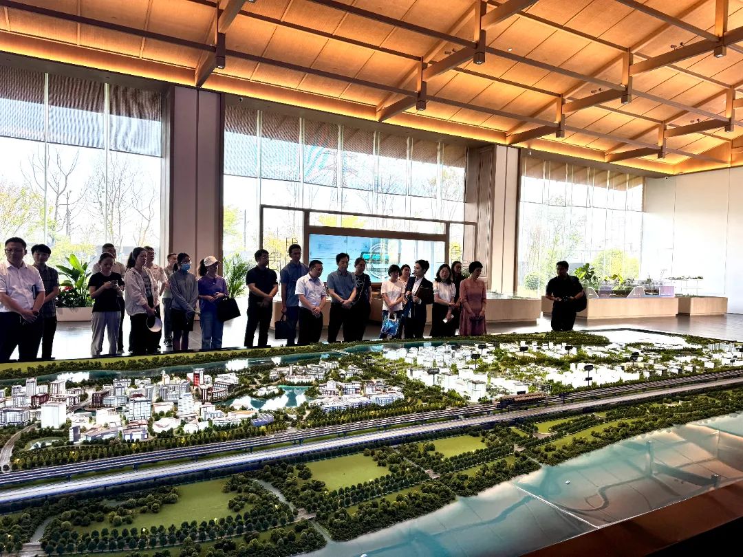 政府開放月活動：公眾走近示范區(qū)，感受青浦蓬勃發(fā)展 .jpg
