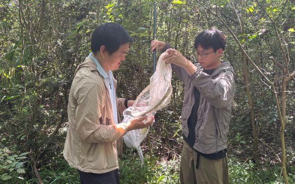 市林業(yè)總站啟動上海城市森林撫育成效及松江大樣地調(diào)查2.jpg