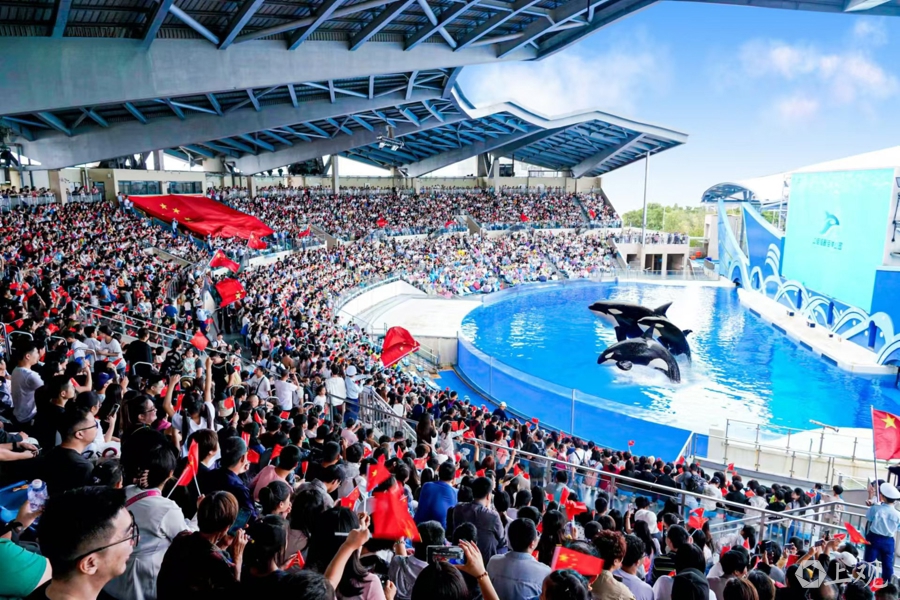 游客熱情點燃主題公園熱度 樂高樂園多品類門票早早售罄 海昌海洋公園客流營收雙豐收